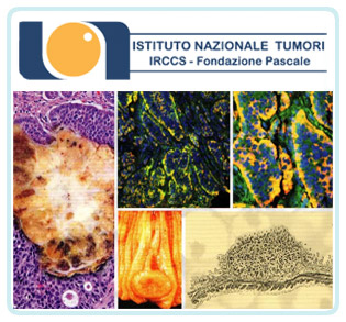 immagine neuroendocrini tumori Napoli