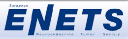 logo Enets