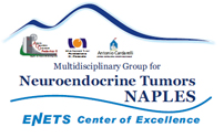 Logo Ntn